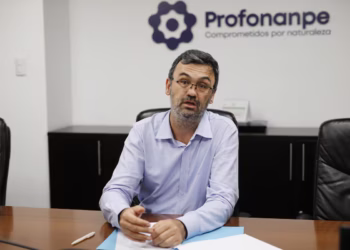 Profonanpe crea fondo de inversiones para reforestación y bonos de carbono